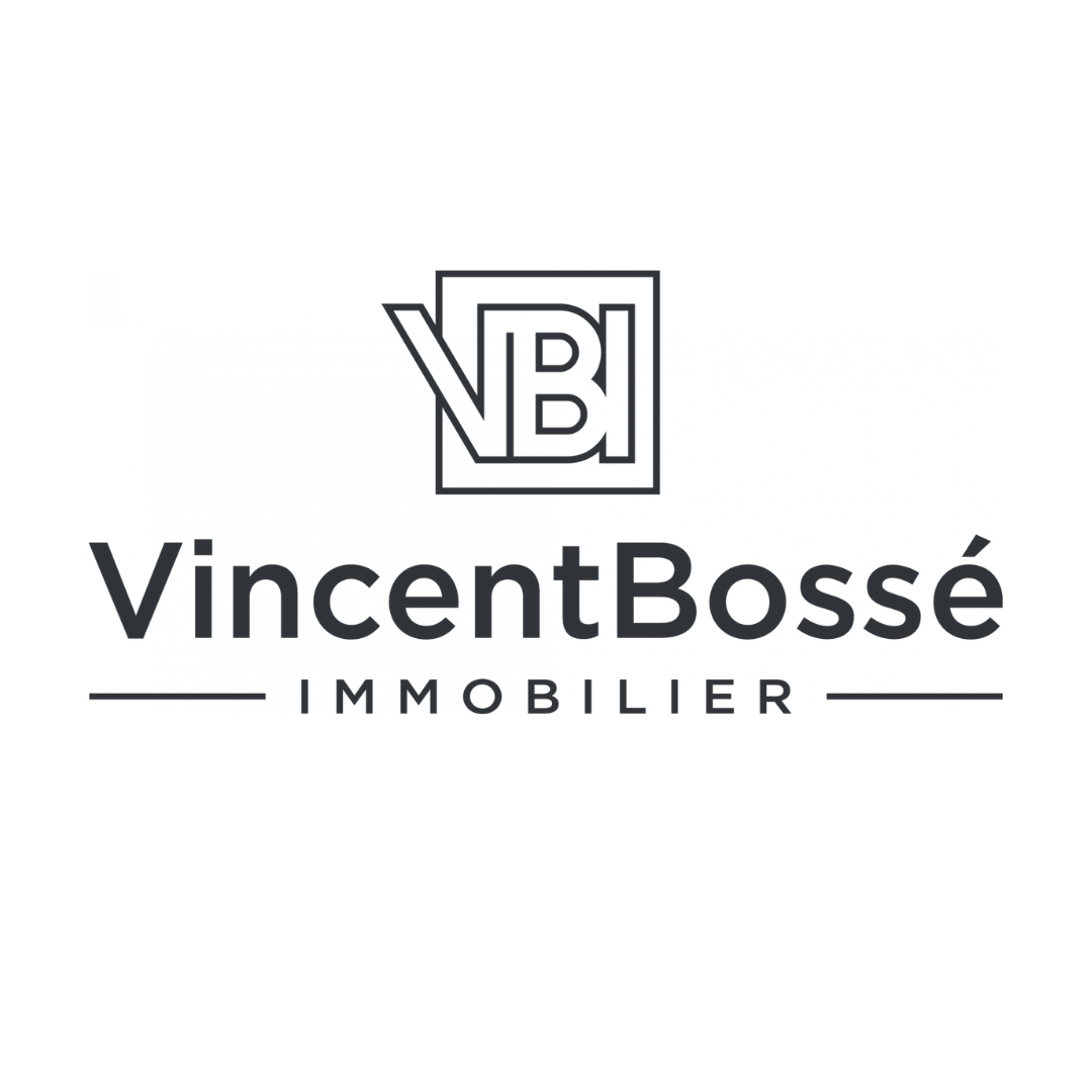 Vincent Bosse immobilier